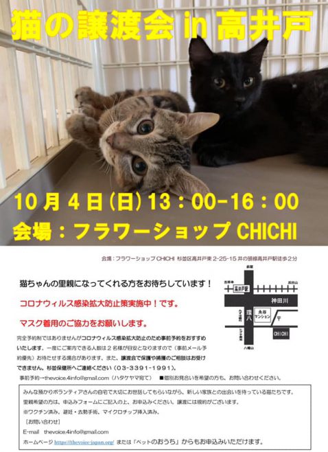 10/4(日)猫の譲渡会 in 高井戸 フラワーショップCHICHI
