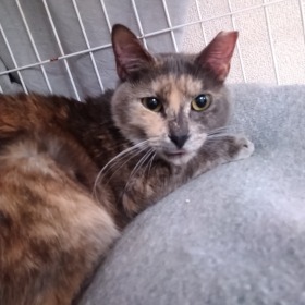 はるか ミックス（サビ）